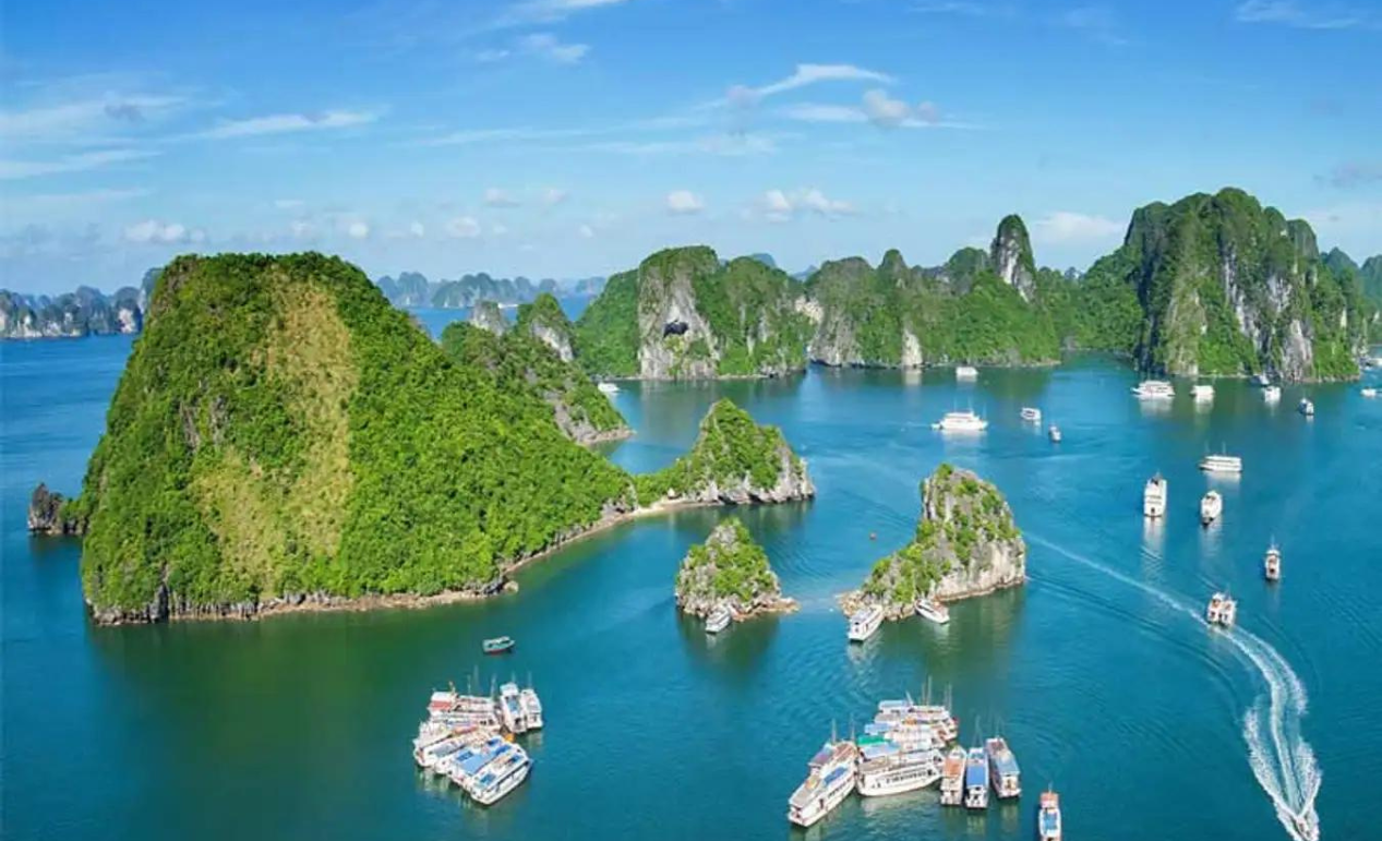 Địa chỉ: G11, Lô 38-39 đường Tôn Đức Thắng, Phường An Hòa, Thành phố Rạch Giá, Tỉnh BÌNH PHƯỚC.